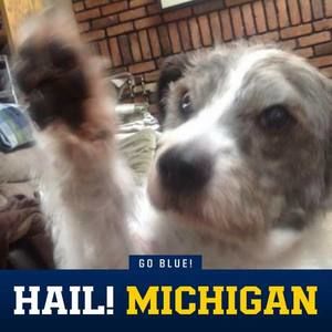 Meet your Posher, Rose